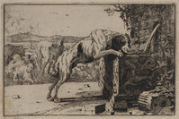 TvB G 1152
          <br/>
          Hond die uit een fontein drinkt
          <br/>
          <em>Hecke, Jan van den (1620-1689)</em>